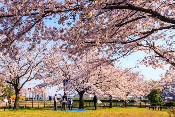 HANAMI! INTERESSI SPECIALI