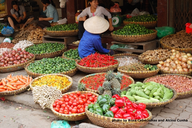 VIETNAM DA NORD A SUD 2024 ETICO / SOSTENIBILE