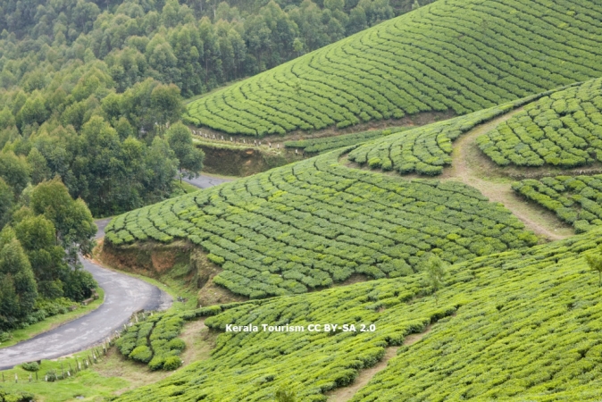 IL CUORE VERDE DEL KERALA CULTURA